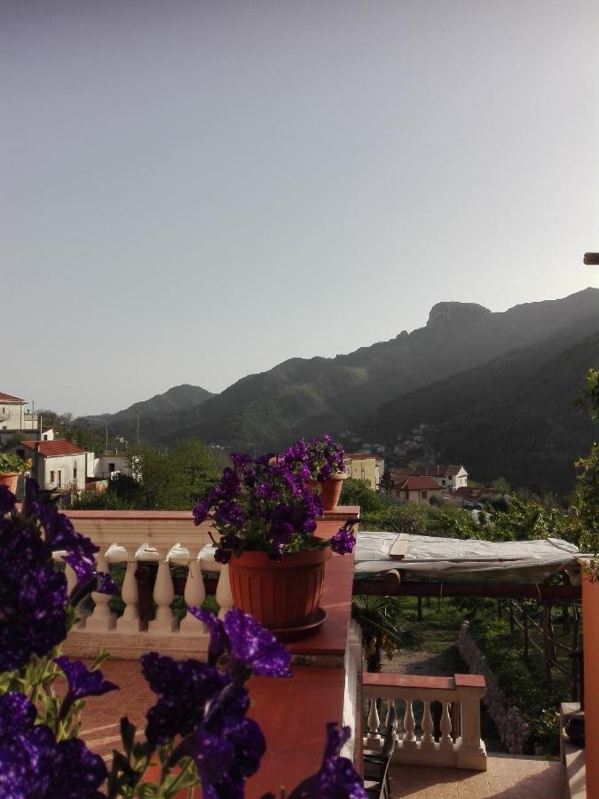 Antica Casa Cavaliere Villa Tramonti Exterior photo